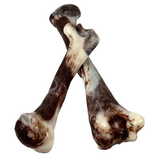 Jurassic Bone Dog Chew Toy for Strong Chewers