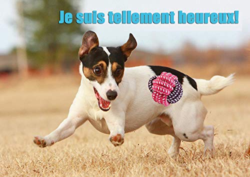 Interactive Dog Toy Set for Small & Medium Dogs