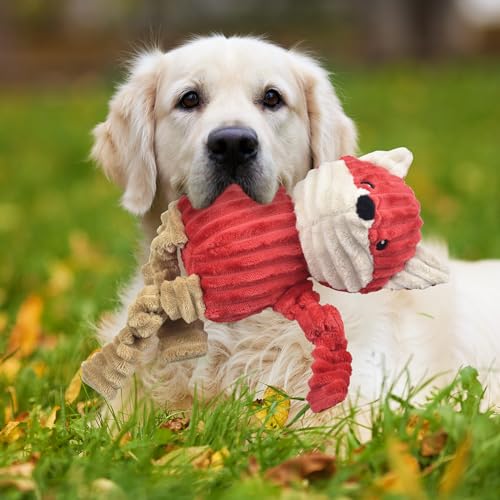 Ousiya 3-Pack Squeaky Plush Dog Toys Bundle