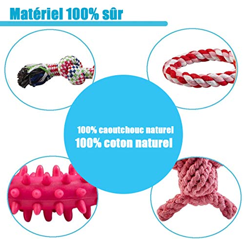 Interactive Dog Toy Set for Small & Medium Dogs