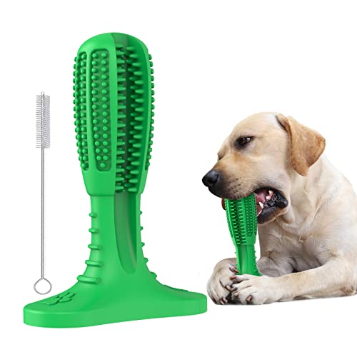 RUCACIO Tough Durable Dog Chew Toothbrush Toy Set