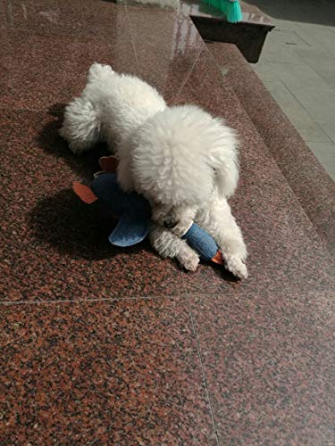 Indestructible Large Breed Dog Toys: Squeaky Goose Included