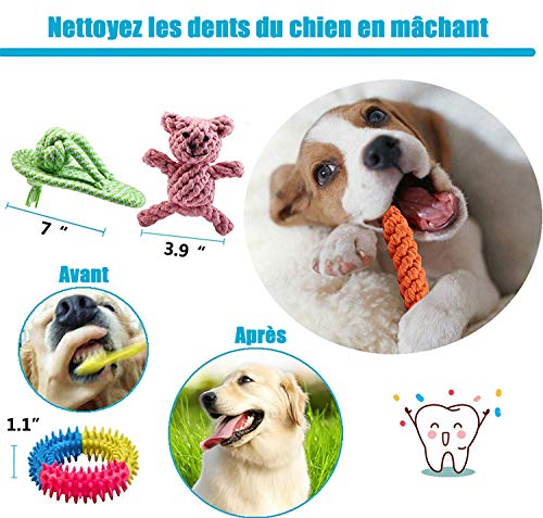 Interactive Dog Toy Set for Small & Medium Dogs
