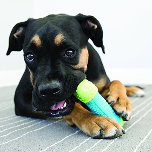 KONG CoreStrength Bone: Long-Lasting Toy for Dogs