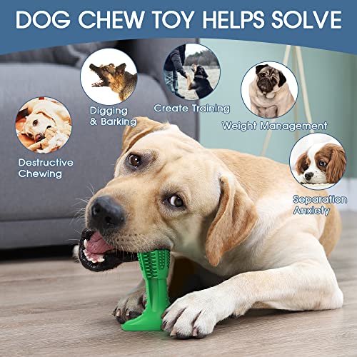 RUCACIO Tough Durable Dog Chew Toothbrush Toy Set