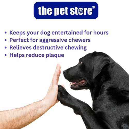 Jurassic Bone Dog Chew Toy for Strong Chewers