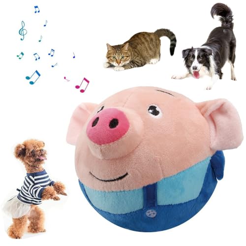 Interactive Talking Moving Dog Ball Toy for Pets