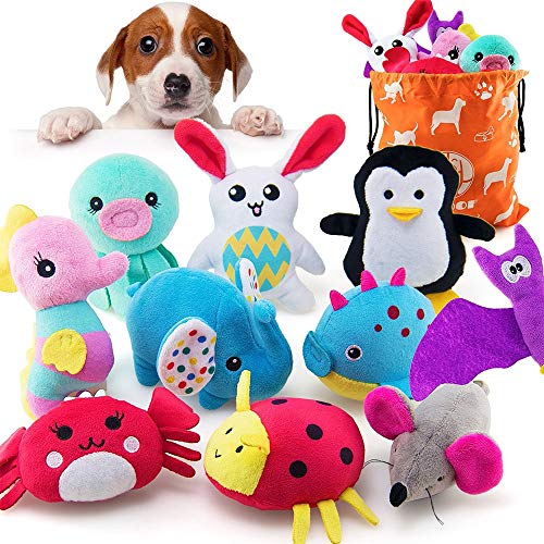 Soft Squeaky Dog Toys for Small - Medium Dogs