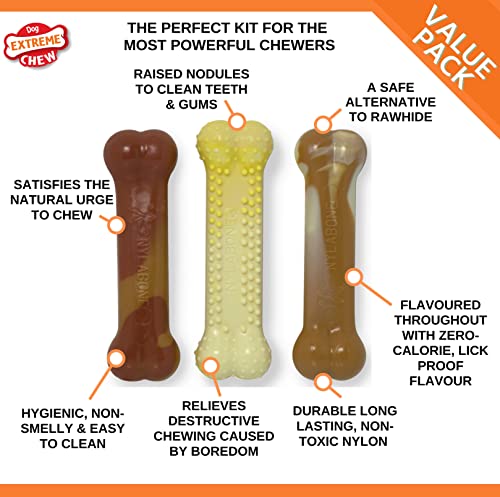 Nylabone Tough Chew Toys Variety Pack for Small Dogs