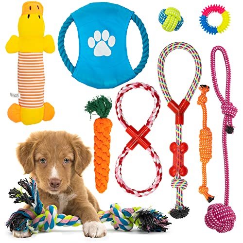 10 Pack Indestructible Dog Chew Toys for Puppies