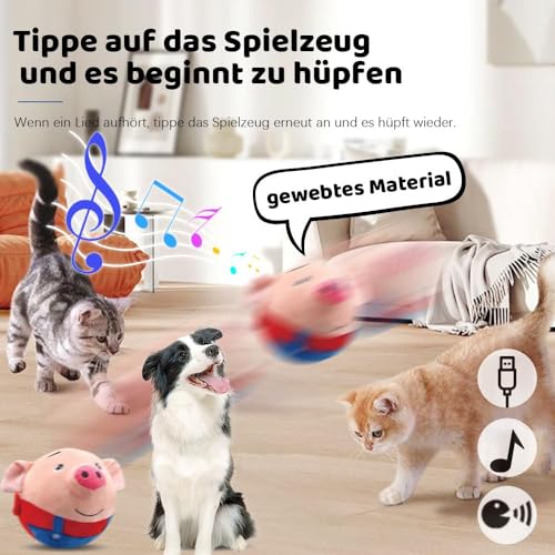 Interactive Talking Moving Dog Ball Toy for Pets
