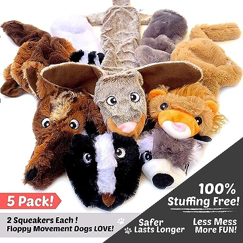 5 Pack Durable Plush Squeaky Dog Toys