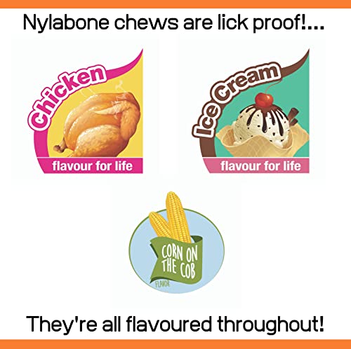 Nylabone Tough Chew Toys Variety Pack for Small Dogs