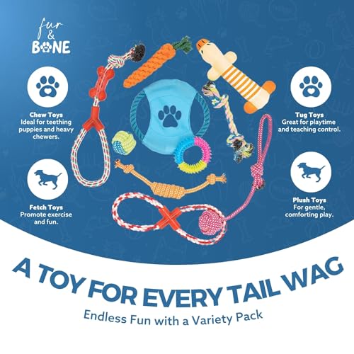 10 Pack Indestructible Dog Chew Toys for Puppies