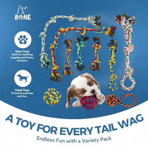 Indestructible Dog Rope Toy Pack for Aggressive Chewers