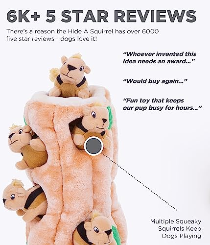 XL Outward Hound Squirrel Plush Dog Toy Puzzle