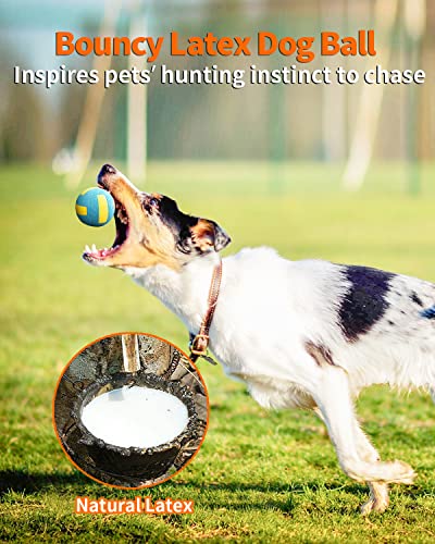 4 Pack Squeaky Dog Balls for Small Dogs