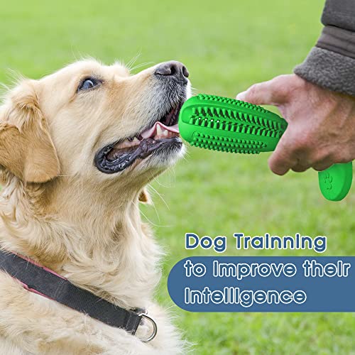 RUCACIO Tough Durable Dog Chew Toothbrush Toy Set