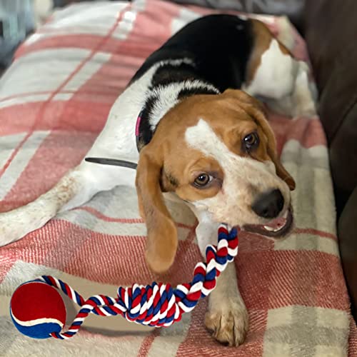 Puppy Teething Rope Chew Toy for Small Dogs