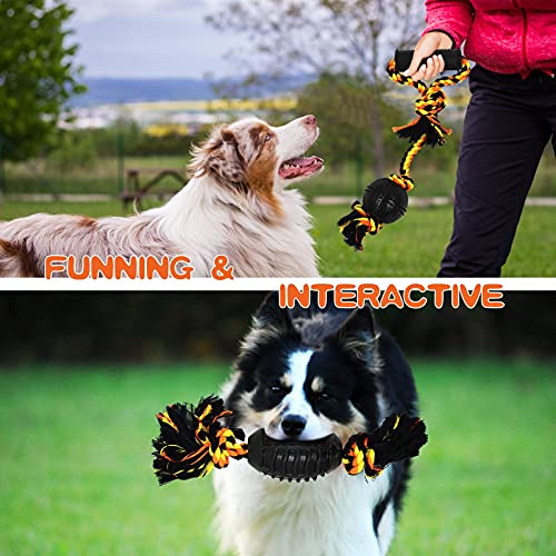 Yipetor Durable Dog Chew Toy Bone Set (6-pack)