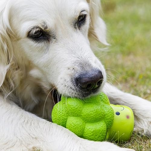 Large Petface Latex Broccoli Dog Toy