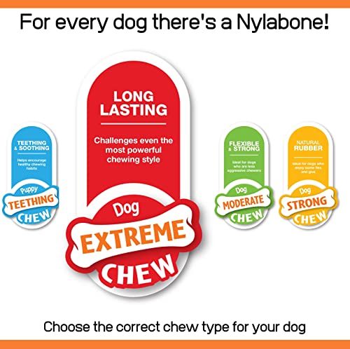 Nylabone Tough Chew Toys Variety Pack for Small Dogs