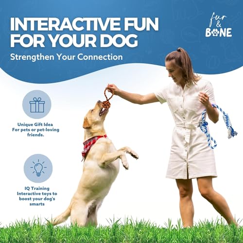 Indestructible Dog Rope Toy Pack for Aggressive Chewers