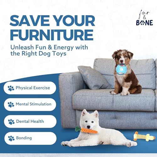 10 Pack Indestructible Dog Chew Toys for Puppies