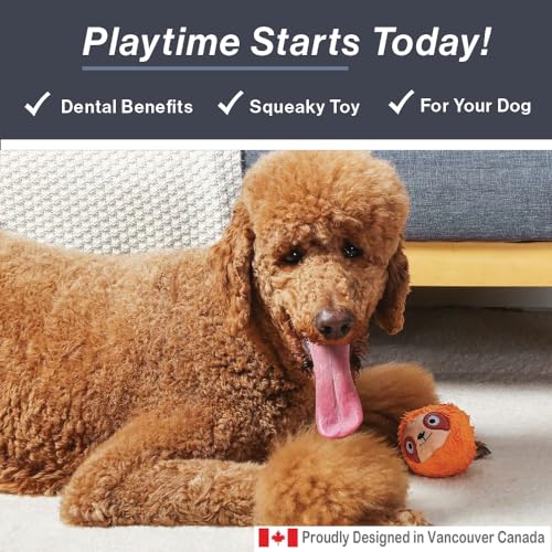 HugSmart Pet Zoo Ball - Interactive Dog Toy Pack