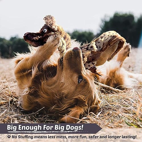 5 Pack Durable Plush Squeaky Dog Toys