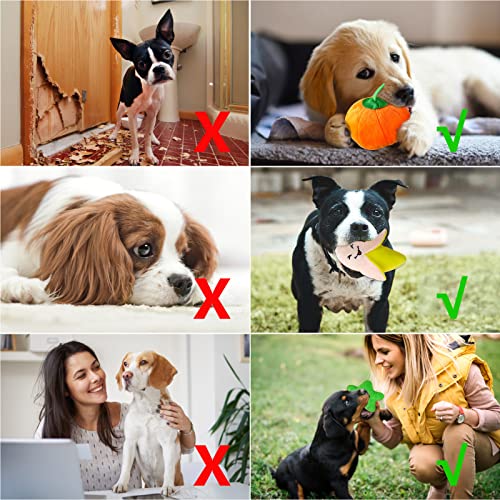 Interactive Plush Dog Toys - Set of 10