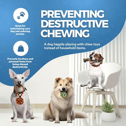 Indestructible Dog Rope Toy Pack for Aggressive Chewers