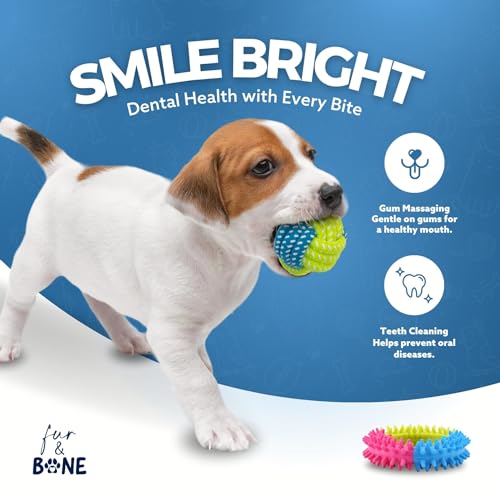 10 Pack Indestructible Dog Chew Toys for Puppies