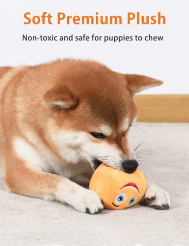 Dog Toys, Soft Plush Chew Balls, Interactive Fetch