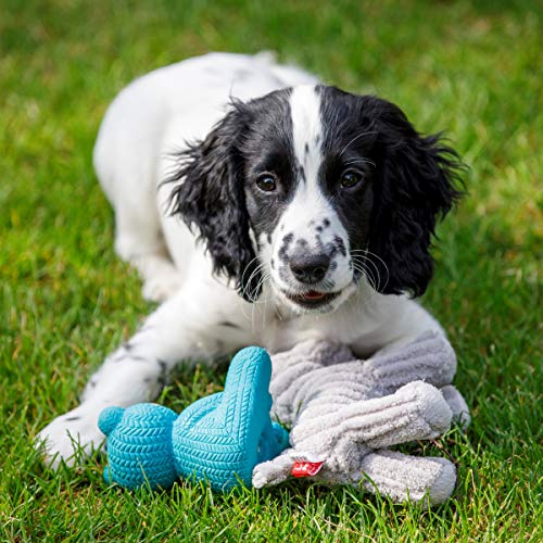 Petface Little Petface Blue Teddy Bear Dog Toy