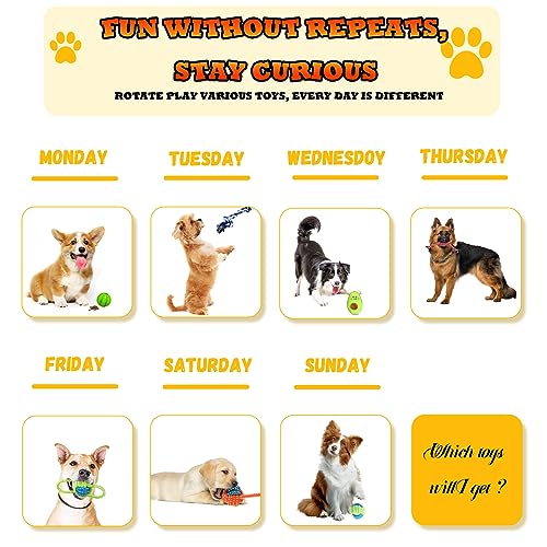 20 Pack Luxury Dog Chew Toys for Puppy