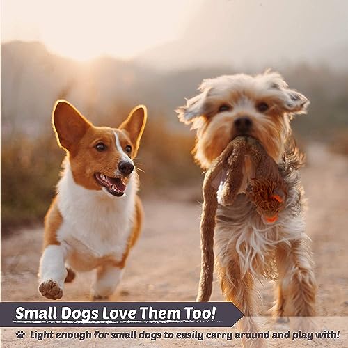 5 Pack Durable Plush Squeaky Dog Toys