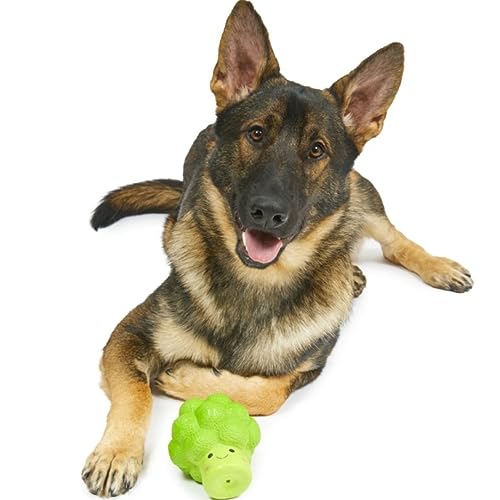 Large Petface Latex Broccoli Dog Toy