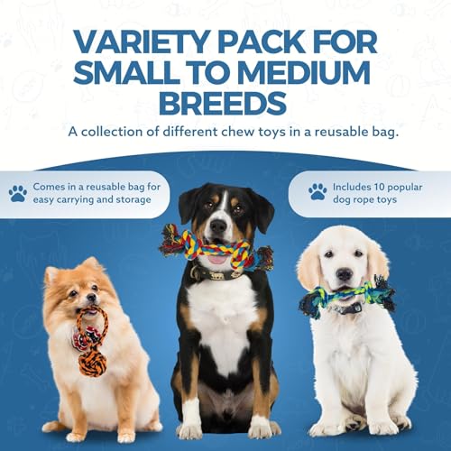 Indestructible Dog Rope Toy Pack for Aggressive Chewers