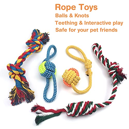 Sundrawy Dog Toy Set: Chew, Squeak, Tug, Clean