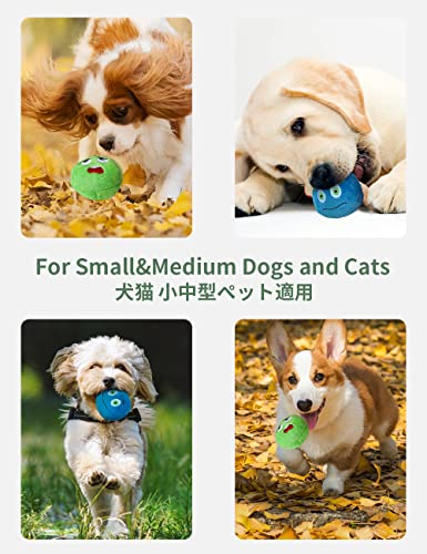 Dog Toys, Soft Plush Chew Balls, Interactive Fetch