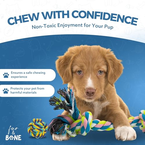10 Pack Indestructible Dog Chew Toys for Puppies