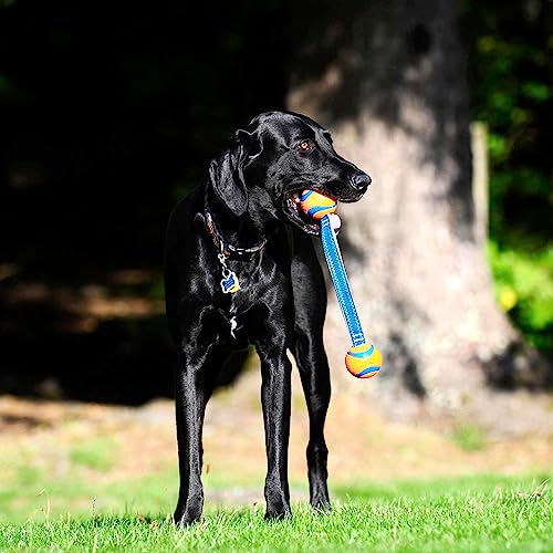 Chuckit! Duo Tug Dog Toy with Rubber Balls