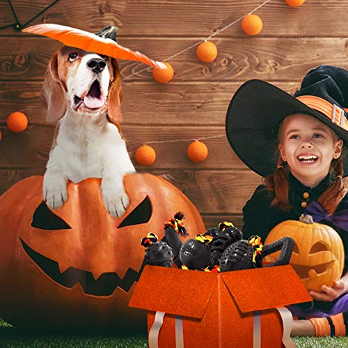 Yipetor Durable Dog Chew Toy Bone Set (6-pack)