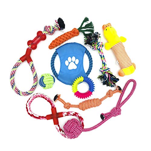 Natural Cotton Rope Dog Toy Bundle for Small/Medium Dogs