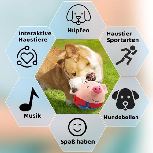 Interactive Talking Moving Dog Ball Toy for Pets