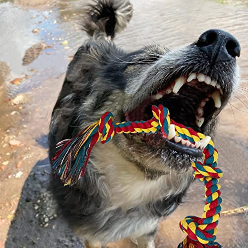 Puppy Teething Rope Chew Toy for Small Dogs