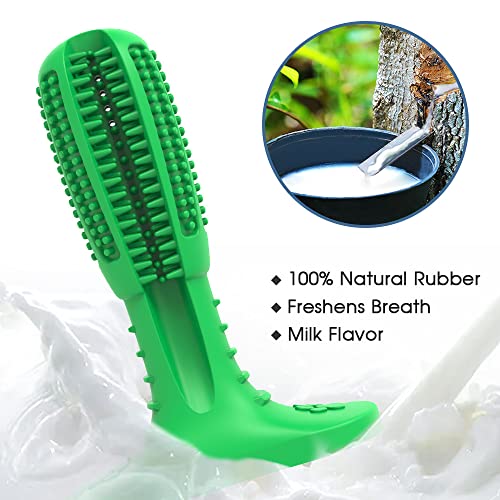 RUCACIO Tough Durable Dog Chew Toothbrush Toy Set