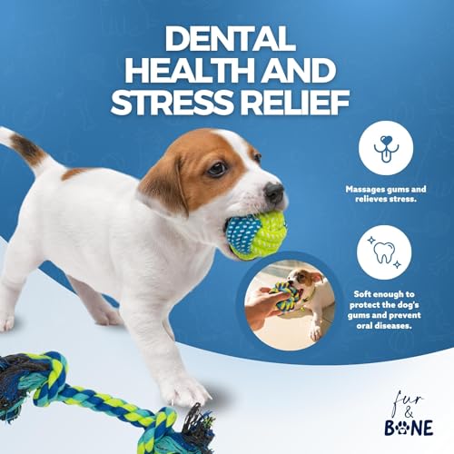 Indestructible Dog Rope Toy Pack for Aggressive Chewers