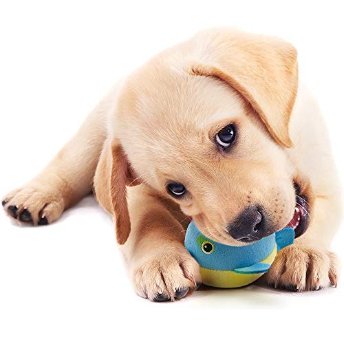 Soft Squeaky Dog Toys for Small - Medium Dogs